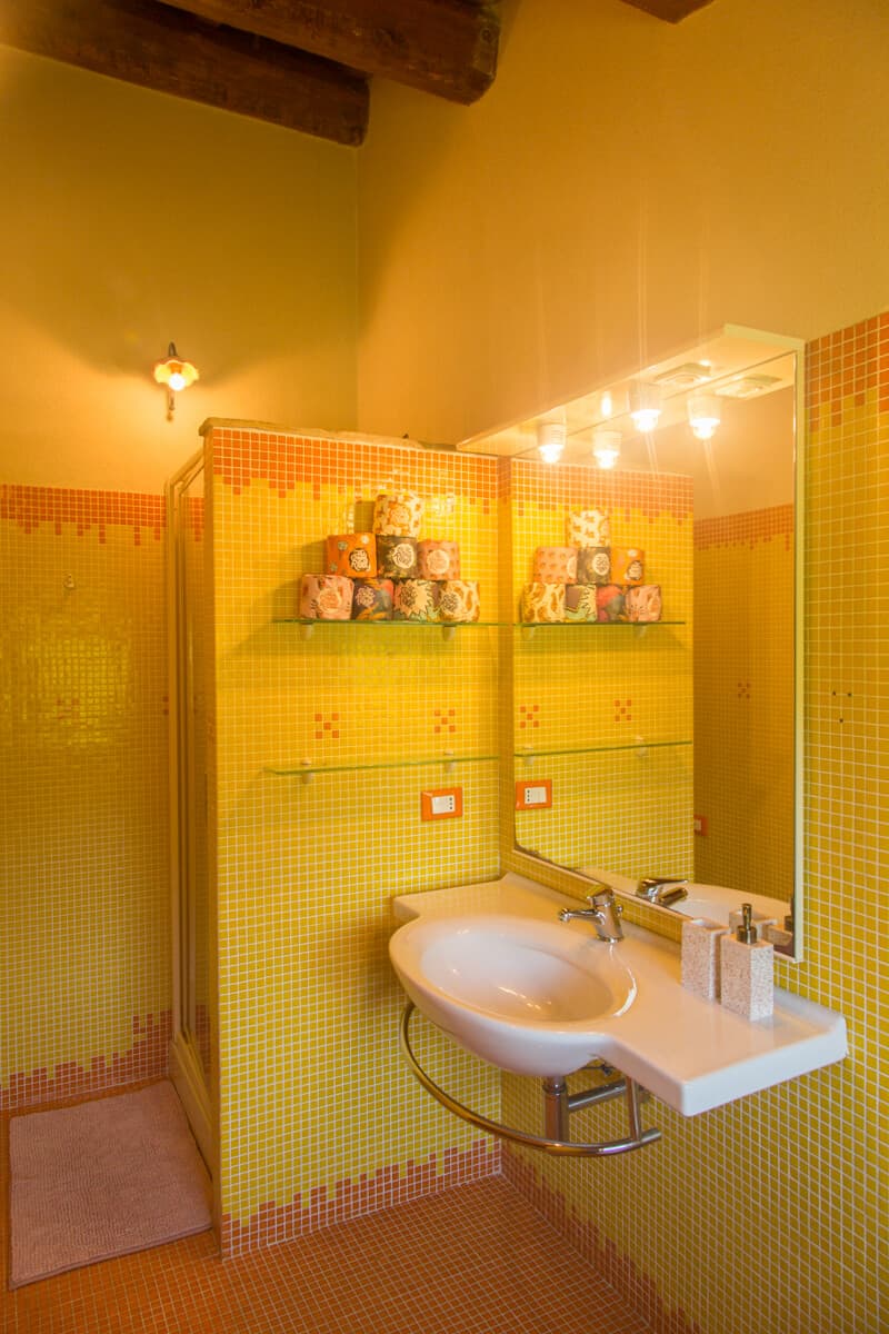 Bathroom vanity with mirror, shower and decorative accessories