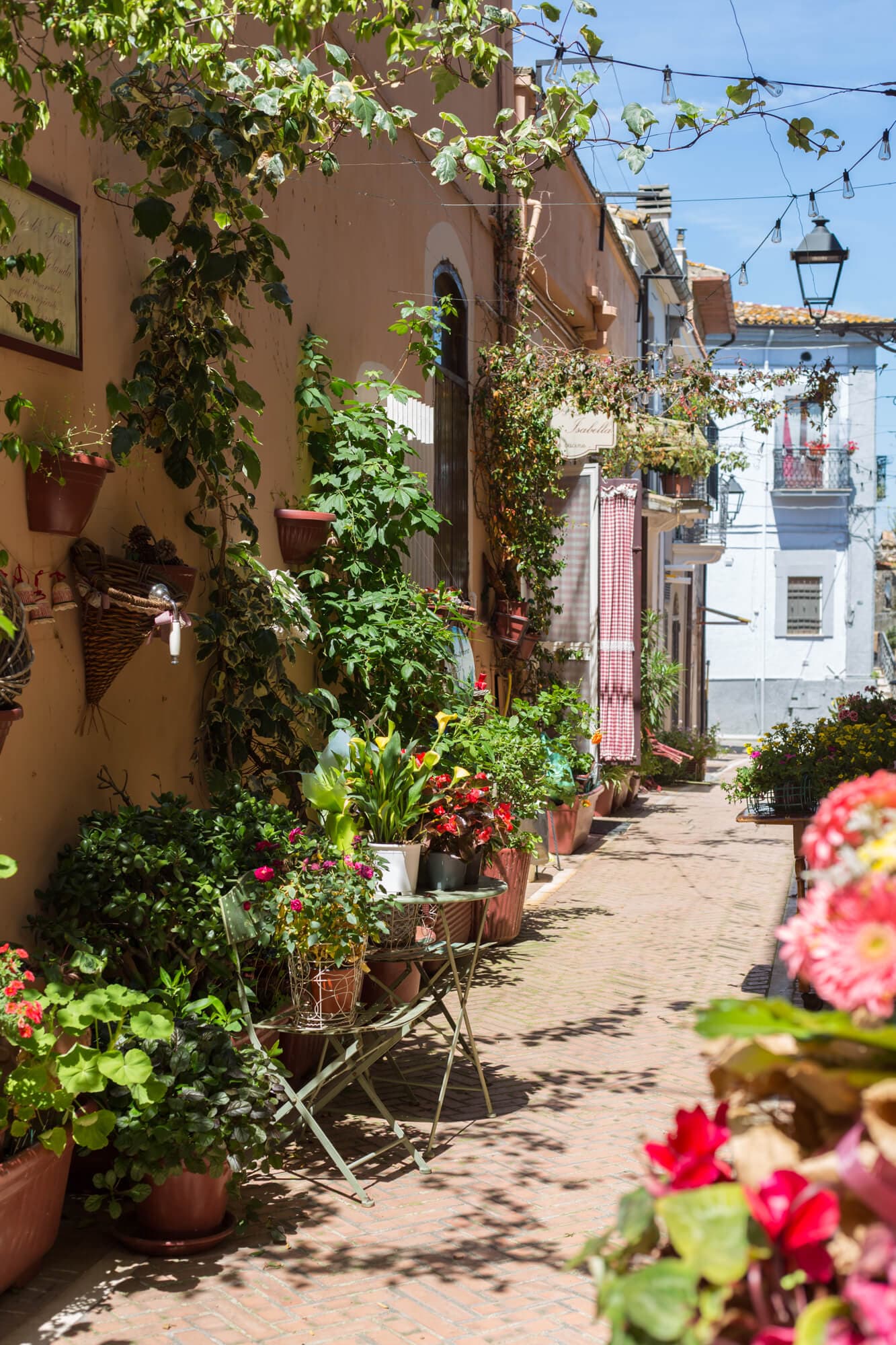 Charming flower-lined alley in a traditional Abruzzo village
