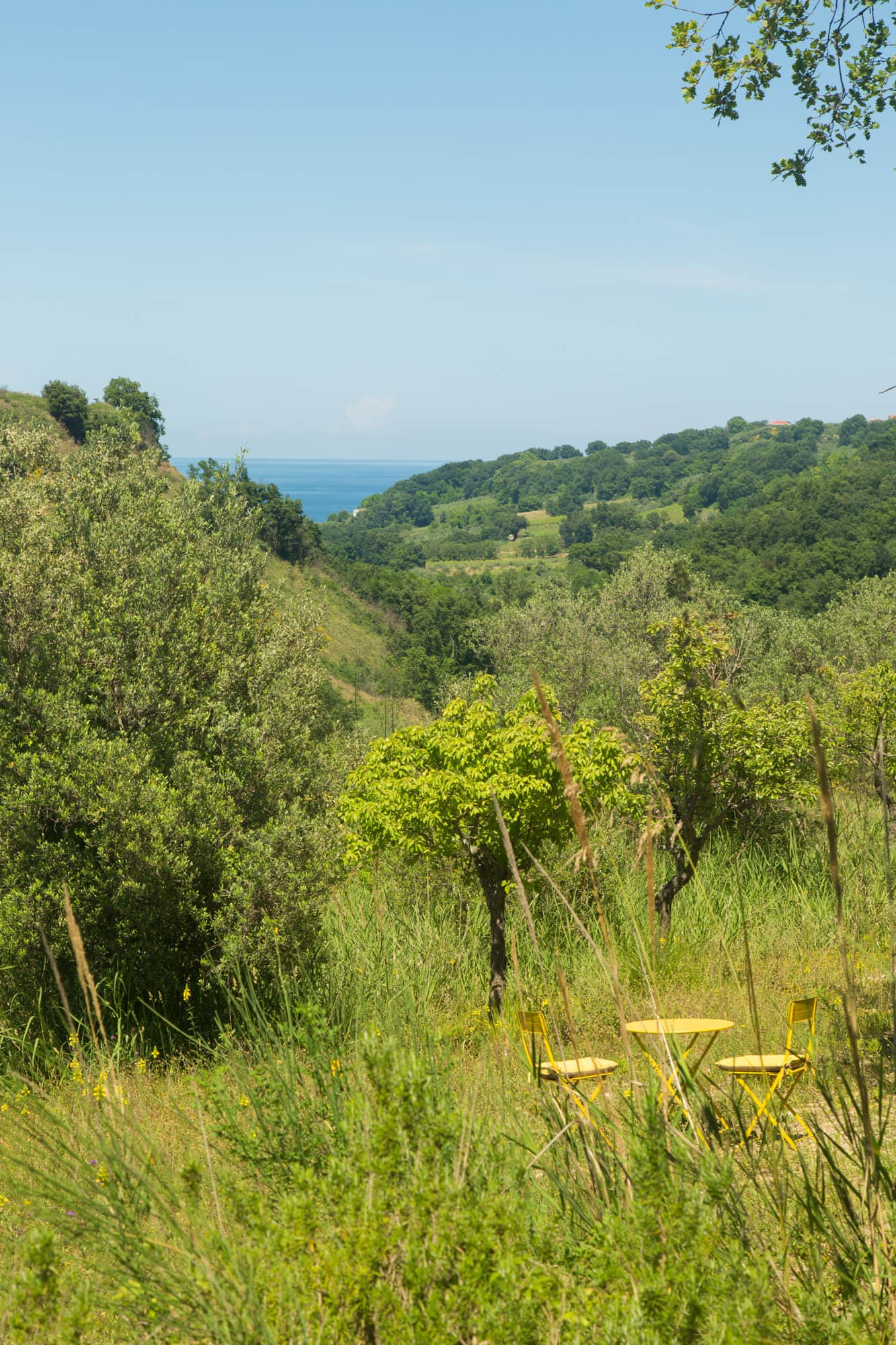 Garden seating area with sea view through lush green hills